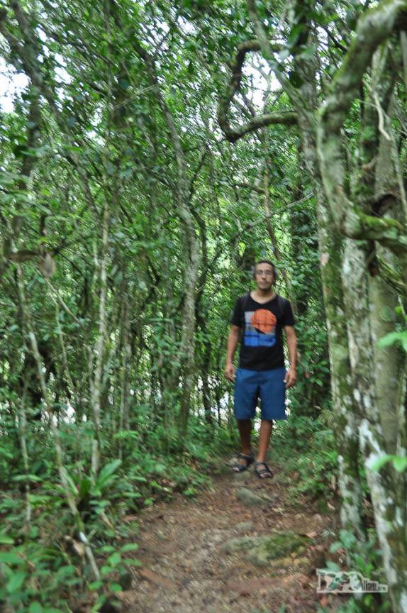 Trilha para a cachoeira do Siriú, em Garopaba, no litoral sul de Santa Catarina